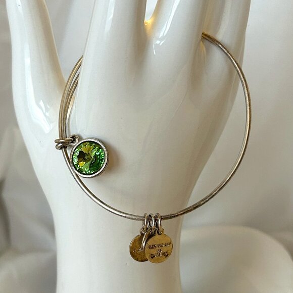 Alex and Ani Bracelet + 4 Charms - Picture 1 of 5